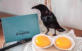 Casa Damelia